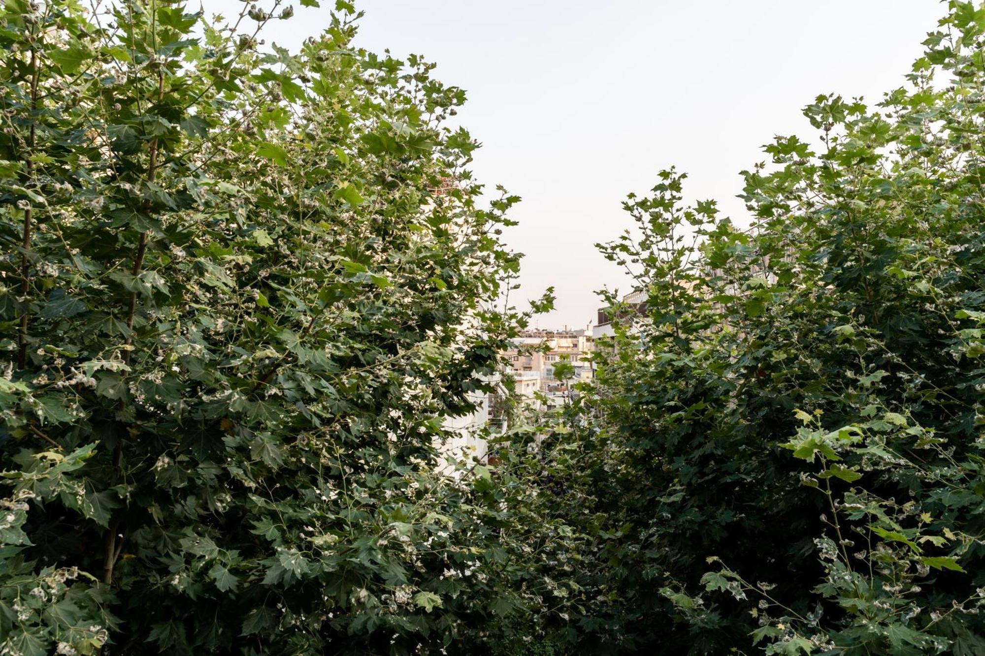 Frinichou 18 By Athens Concept Residences Extérieur photo